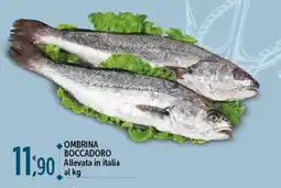 Rossotono Carrefour Ombrina boccadoro offerta