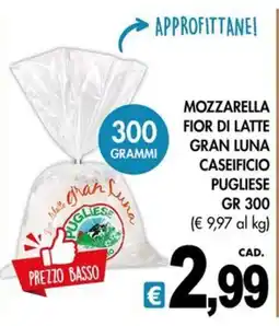PrestoFresco Mozzarella fior di latte Gran Luna offerta