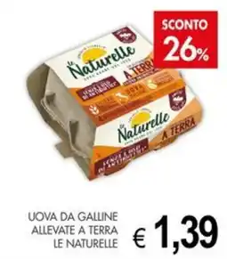 PrestoFresco Uova da galline allevate a terra le naturelle offerta