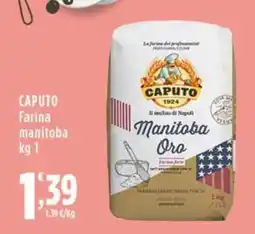 Rossotono Carrefour Caputo Farina manitoba offerta
