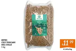 Zona Ceci Toscani Del Colle offerta