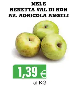 Centro frutta Mele renetta val di non az. agricola angeli offerta