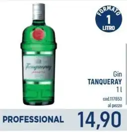 Talento Professional Store Gin Tanqueray offerta