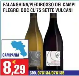 Immenso Cash Falanghina/Piedirosso dei Campi offerta