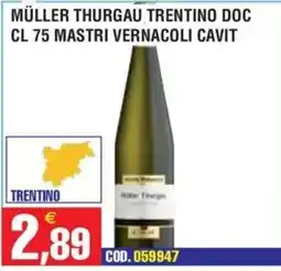 Immenso Cash Müller Thurgau Trentino DOC offerta