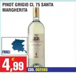 Immenso Cash Pinot Grigio Santa Margherita offerta