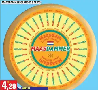 Immenso Cash Maasdammer Olandese offerta
