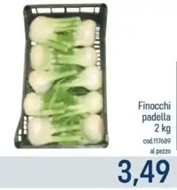 Talento Professional Store Finocchi padella offerta