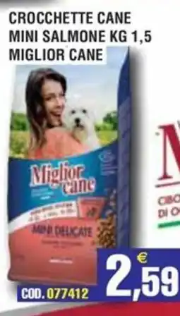 Immenso Cash Crocchette cane mini salmone Miglior cane offerta