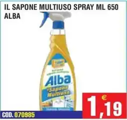 Immenso Cash Il sapone multiuso spray alba offerta
