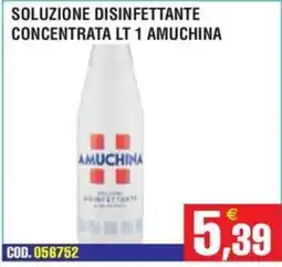 Immenso Cash Soluzione disinfettante Amuchina offerta