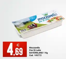 Centro Cash Mozzarella Fior Di Latte BAYERNLAND offerta
