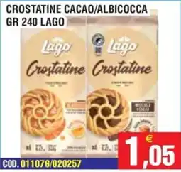 Immenso Cash Crostatine Lago offerta