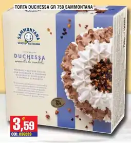 Immenso Cash Torta Duchessa Sammontana offerta