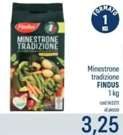 Talento Professional Store Minestrone tradizione Findus offerta