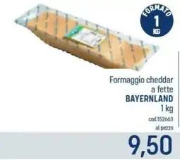 Talento Professional Store Formaggio cheddar a fette Bayernland offerta
