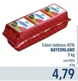 Talento Professional Store Edam tedesco 40% Bayernland offerta