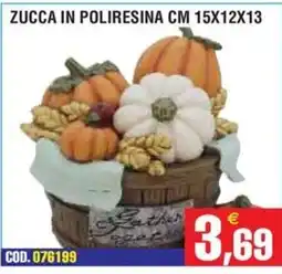 Immenso Cash Zucca in poliresina offerta
