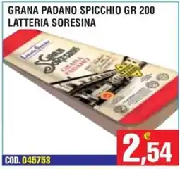 Immenso Cash Grana Padano Spicchio Latteria Soresina offerta