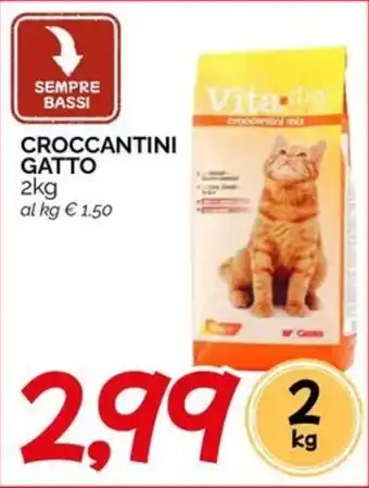 Crocchettini gatto Vita day