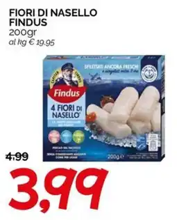 Hardis Fiori di nasello Findus offerta