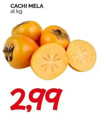 Hardis Cachi mela offerta