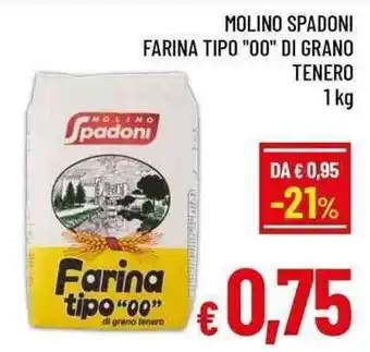 Farina tipo "00" di grano tenero