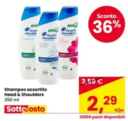 Eurospar Shampoo assortito Head & Shoulders offerta