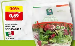 ALDI I colori del sapore insalata sfiziosa offerta