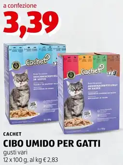 ALDI Cachet cibo umido per gatti offerta