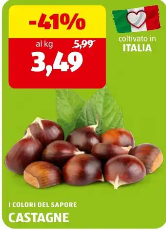 I colori del sapore castagne