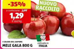 ALDI I colori del sapore mele gala offerta