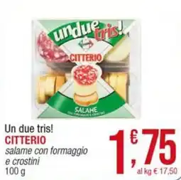 Maxi Sidis Citterio salame con formaggio e crostini offerta