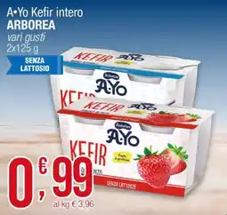 Maxi Sidis A·Yo Kefir intero ARBOREA offerta