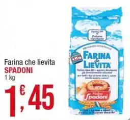 Maxi Sidis Farina che lievita Spadoni offerta