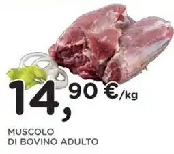 Orvea Muscolo di bovino adulto offerta