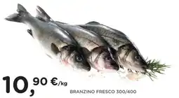 Orvea Branzino fresco offerta
