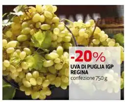 Extracoop Uva di Puglia IGP Regina offerta