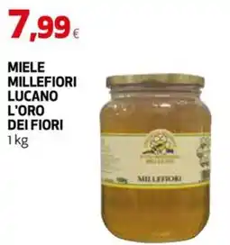 Extracoop Miele millefiori lucano l'oro dei fiori offerta