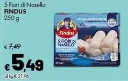Supermercati Vinci Findus 5 Fiori di Nasello offerta