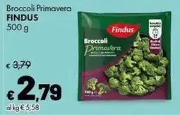 Supermercati Vinci Broccoli Primavera Findus offerta