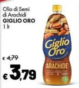 Supermercati Vinci Olio di Semi di Arachidi Giglio Oro offerta