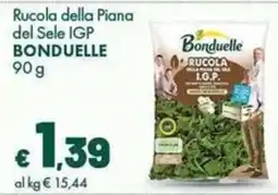 Supermercati Vinci Rucola della Piana del Sele IGP Bonduelle offerta