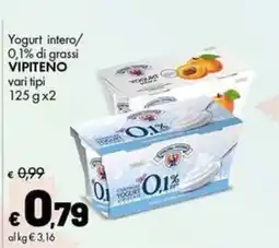 Supermercati Vinci Yogurt intero VIPITENO offerta