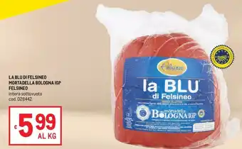 La BLU di Felsineo