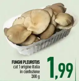Ciro Amodio Funghi Pleurotus offerta