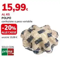 Basko Polpo offerta