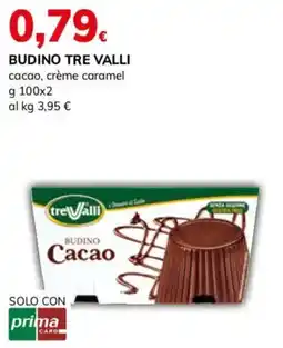 Basko Budino Tre Valli Cacao offerta