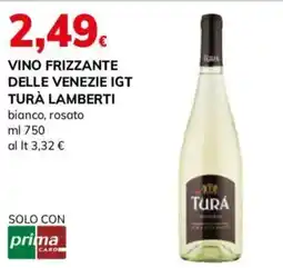 Basko Vino frizzante delle Venezie IGT Turà Lamberti offerta