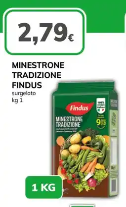 Basko Minestrone tradizione Findus offerta